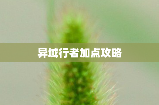 异域行者加点攻略 异域行者加点攻略