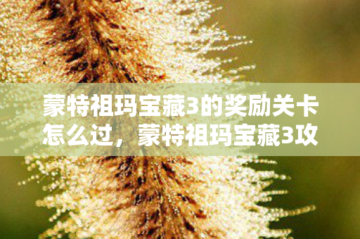 蒙特祖玛宝藏3的奖励关卡怎么过,蒙特祖玛宝藏3攻略,解锁宝藏的终极指南 蒙特祖玛宝藏3的奖励关卡怎么过,蒙特祖玛宝藏3攻略,解锁宝藏的终极指南