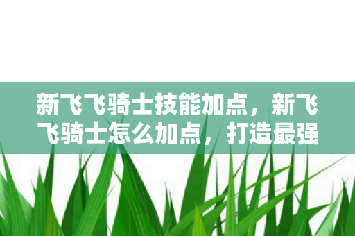 新飞飞骑士技能加点,新飞飞骑士怎么加点,打造最强战斗力的加点攻略 新飞飞骑士技能加点,新飞飞骑士怎么加点,打造最强战斗力的加点攻略