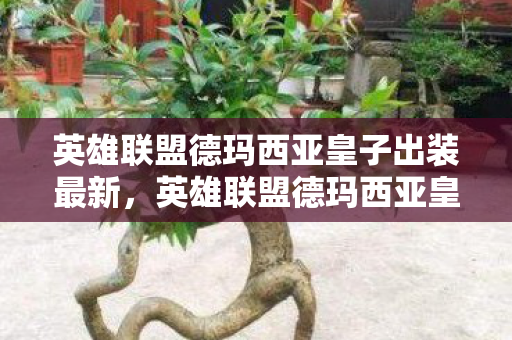 英雄联盟德玛西亚皇子出装最新,英雄联盟德玛西亚皇子出装策略 英雄联盟德玛西亚皇子出装最新,英雄联盟德玛西亚皇子出装策略