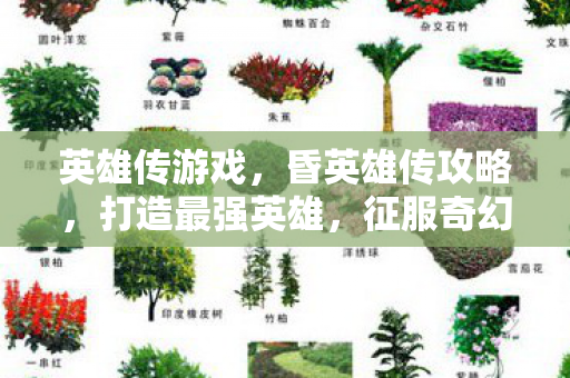 英雄传游戏,昏英雄传攻略,打造最强英雄,征服奇幻世界 英雄传游戏,昏英雄传攻略,打造最强英雄,征服奇幻世界