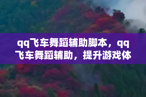 qq飞车舞蹈辅助脚本，qq飞车舞蹈辅助，提升游戏体验的合法工具