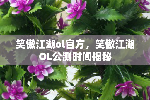 笑傲江湖ol官方，笑傲江湖OL公测时间揭秘