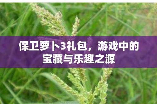 保卫萝卜3礼包，游戏中的宝藏与乐趣之源