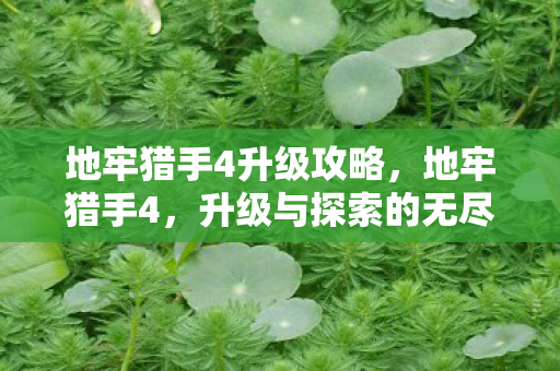 地牢猎手4升级攻略,地牢猎手4,升级与探索的无尽之旅 地牢猎手4升级攻略,地牢猎手4,升级与探索的无尽之旅