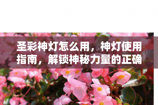 圣彩神灯怎么用,神灯使用指南,解锁神秘力量的正确方式 圣彩神灯怎么用,神灯使用指南,解锁神秘力量的正确方式