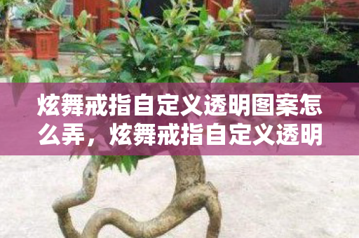 炫舞戒指自定义透明图案怎么弄,炫舞戒指自定义透明图案,打造独一无二的浪漫瞬间 炫舞戒指自定义透明图案怎么弄,炫舞戒指自定义透明图案,打造独一无二的浪漫瞬间