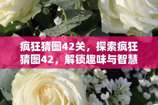 疯狂猜图42关，探索疯狂猜图42，解锁趣味与智慧的双重挑战