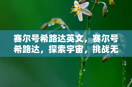 赛尔号希路达英文,赛尔号希路达,探索宇宙,挑战无限 赛尔号希路达英文,赛尔号希路达,探索宇宙,挑战无限
