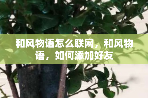 和风物语怎么联网，和风物语，如何添加好友