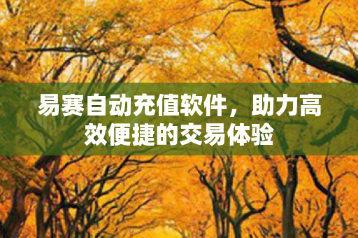 易赛自动充值软件,助力高效便捷的交易体验 易赛自动充值软件,助力高效便捷的交易体验