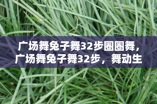广场舞兔子舞32步圈圈舞,广场舞兔子舞32步,舞动生活的快乐旋律 广场舞兔子舞32步圈圈舞,广场舞兔子舞32步,舞动生活的快乐旋律