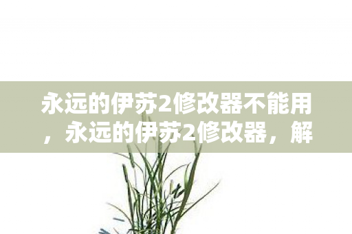 永远的伊苏2修改器不能用,永远的伊苏2修改器,解锁无限可能的冒险之旅 永远的伊苏2修改器不能用,永远的伊苏2修改器,解锁无限可能的冒险之旅