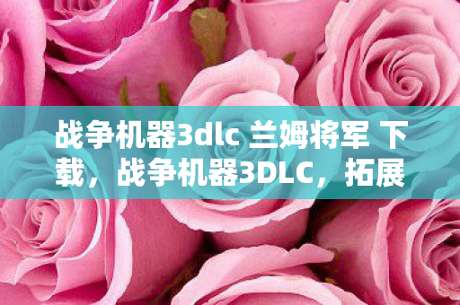 战争机器3dlc 兰姆将军 下载，战争机器3DLC，拓展游戏世界的深度与广度