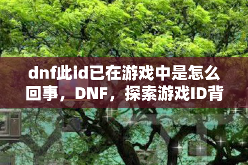 dnf此id已在游戏中是怎么回事,DNF,探索游戏ID背后的故事与意义 dnf此id已在游戏中是怎么回事,DNF,探索游戏ID背后的故事与意义