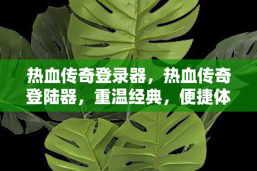 热血传奇登录器图片