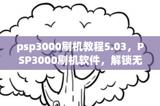psp3000刷机教程5.03,PSP3000刷机软件,解锁无限可能的钥匙 psp3000刷机教程5.03,PSP3000刷机软件,解锁无限可能的钥匙