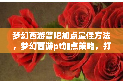 梦幻西游普陀加点最佳方法,梦幻西游pt加点策略,打造高效辅助的秘诀 梦幻西游普陀加点最佳方法,梦幻西游pt加点策略,打造高效辅助的秘诀