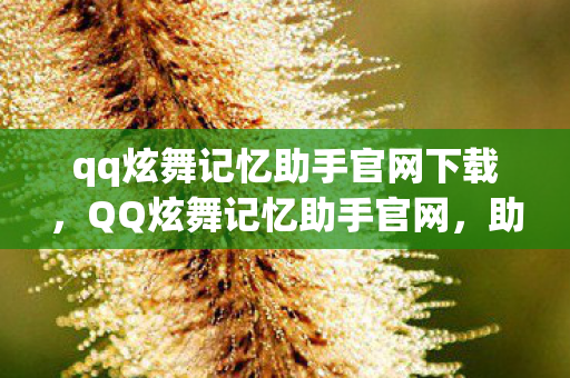 qq炫舞记忆助手官网下载,QQ炫舞记忆助手官网,助力玩家高效游戏,打造个性化体验 qq炫舞记忆助手官网下载,QQ炫舞记忆助手官网,助力玩家高效游戏,打造个性化体验