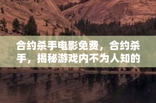 合约杀手电影免费，合约杀手，揭秘游戏内不为人知的规则制定者