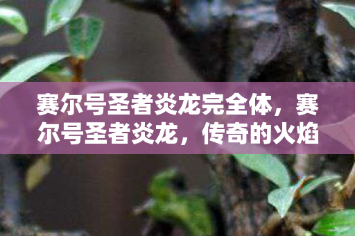 赛尔号圣者炎龙完全体，赛尔号圣者炎龙，传奇的火焰与荣耀