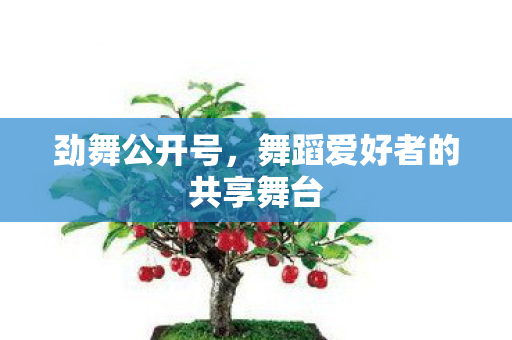 劲舞公开号,舞蹈爱好者的共享舞台 劲舞公开号,舞蹈爱好者的共享舞台