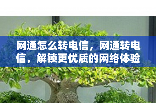 网通怎么转电信,网通转电信,解锁更优质的网络体验 网通怎么转电信,网通转电信,解锁更优质的网络体验
