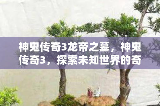 神鬼传奇3龙帝之墓,神鬼传奇3,探索未知世界的奇幻冒险 神鬼传奇3龙帝之墓,神鬼传奇3,探索未知世界的奇幻冒险
