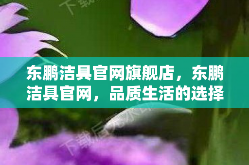 东鹏洁具官网旗舰店，东鹏洁具官网，品质生活的选择