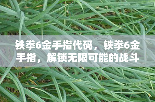 铁拳6金手指代码,铁拳6金手指,解锁无限可能的战斗技巧 铁拳6金手指代码,铁拳6金手指,解锁无限可能的战斗技巧
