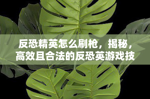 反恐精英怎么刷枪,揭秘,高效且合法的反恐英游戏技巧提升策略 反恐精英怎么刷枪,揭秘,高效且合法的反恐英游戏技巧提升策略