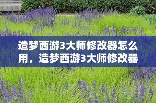 造梦西游3大师修改器怎么用，造梦西游3大师修改器，解锁无限可能的冒险之旅