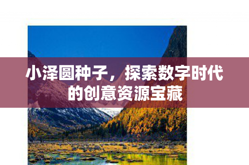 小泽圆种子，探索数字时代的创意资源宝藏
