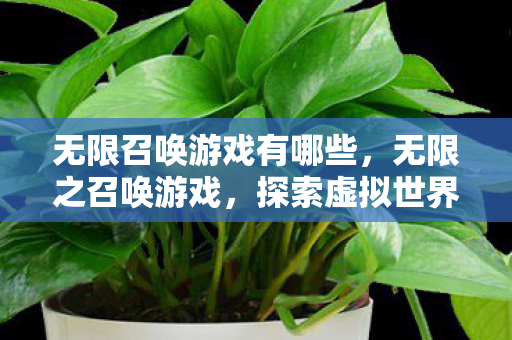 无限召唤游戏有哪些,无限之召唤游戏,探索虚拟世界的奇妙之旅 无限召唤游戏有哪些,无限之召唤游戏,探索虚拟世界的奇妙之旅