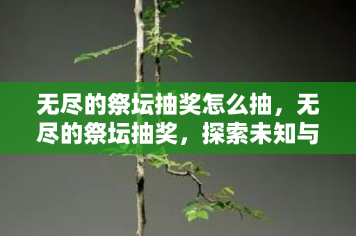 无尽的祭坛抽奖怎么抽,无尽的祭坛抽奖,探索未知与惊喜的冒险之旅 无尽的祭坛抽奖怎么抽,无尽的祭坛抽奖,探索未知与惊喜的冒险之旅