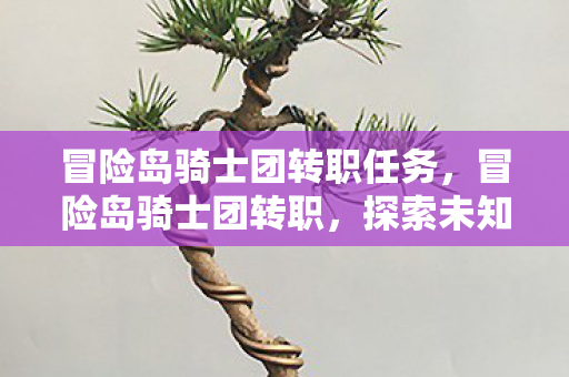 冒险岛骑士团转职任务,冒险岛骑士团转职,探索未知,挑战自我 冒险岛骑士团转职任务,冒险岛骑士团转职,探索未知,挑战自我