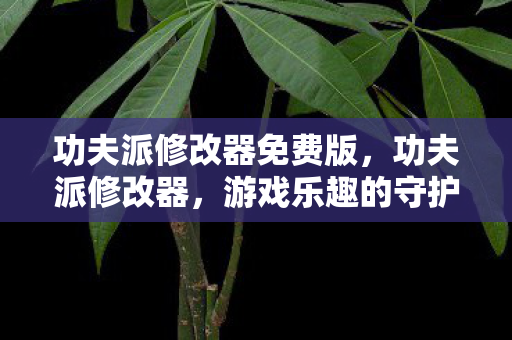 功夫派修改器免费版,功夫派修改器,游戏乐趣的守护者还是规则的挑战者? 功夫派修改器免费版,功夫派修改器,游戏乐趣的守护者还是规则的挑战者?