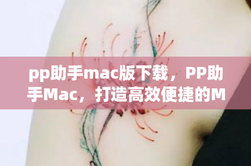 pp助手mac版下载，PP助手Mac，打造高效便捷的Mac应用管理工具