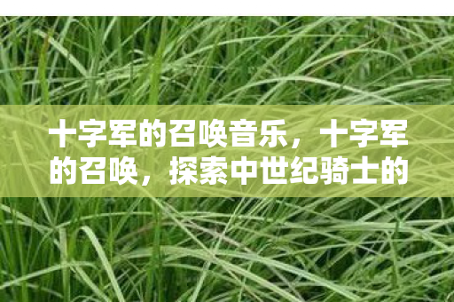 十字军的召唤音乐,十字军的召唤,探索中世纪骑士的荣耀与使命 十字军的召唤音乐,十字军的召唤,探索中世纪骑士的荣耀与使命