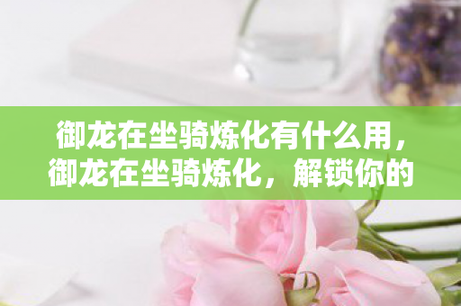 御龙在坐骑炼化有什么用，御龙在坐骑炼化，解锁你的专属飞行伙伴