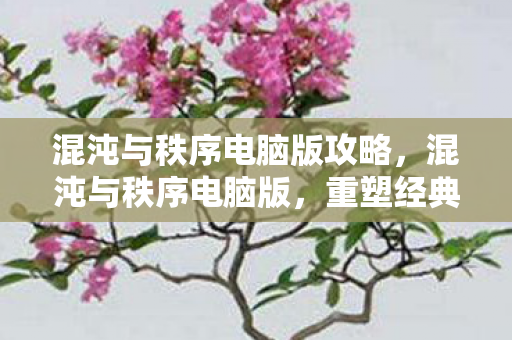 混沌与秩序电脑版攻略,混沌与秩序电脑版,重塑经典,跨越时空的冒险之旅 混沌与秩序电脑版攻略,混沌与秩序电脑版,重塑经典,跨越时空的冒险之旅