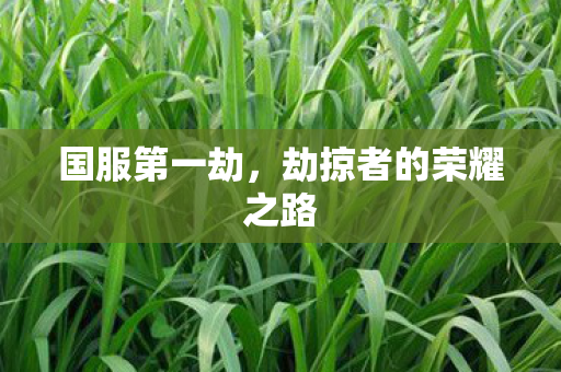 国服第一劫,劫掠者的荣耀之路 国服第一劫,劫掠者的荣耀之路