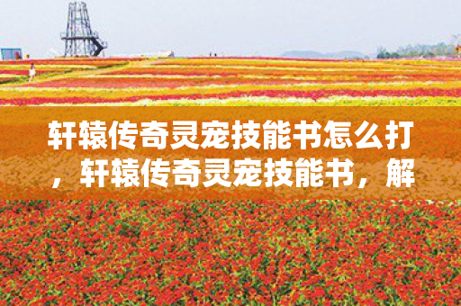 轩辕传奇灵宠技能书怎么打,轩辕传奇灵宠技能书,解锁宠物无限潜能的秘籍 轩辕传奇灵宠技能书怎么打,轩辕传奇灵宠技能书,解锁宠物无限潜能的秘籍