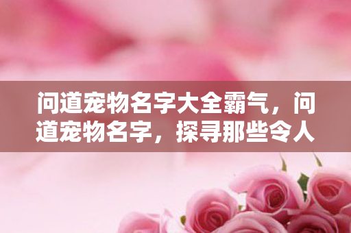 问道宠物名字大全霸气,问道宠物名字,探寻那些令人难忘的三个字以上名字背后的故事 问道宠物名字大全霸气,问道宠物名字,探寻那些令人难忘的三个字以上名字背后的故事