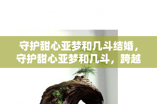 守护甜心亚梦和几斗结婚，守护甜心亚梦和几斗，跨越次元的友情与梦想