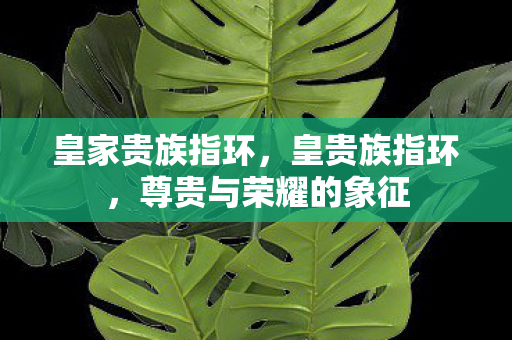皇家贵族指环,皇贵族指环,尊贵与荣耀的象征 皇家贵族指环,皇贵族指环,尊贵与荣耀的象征