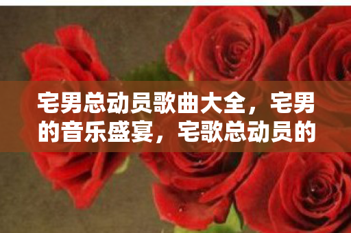 宅男总动员歌曲大全,宅男的音乐盛宴,宅歌总动员的无限魅力 宅男总动员歌曲大全,宅男的音乐盛宴,宅歌总动员的无限魅力