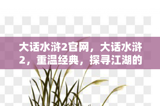 大话水浒2官网，大话水浒2，重温经典，探寻江湖的无限可能