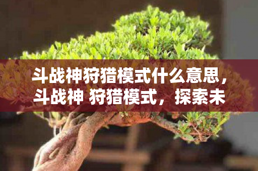 斗战神狩猎模式什么意思,斗战神 狩猎模式,探索未知,挑战极限 斗战神狩猎模式什么意思,斗战神 狩猎模式,探索未知,挑战极限