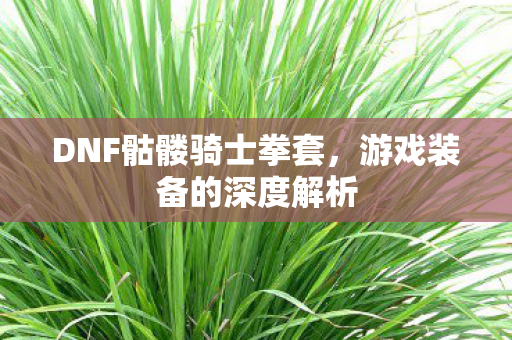 DNF骷髅骑士拳套,游戏装备的深度解析 DNF骷髅骑士拳套,游戏装备的深度解析